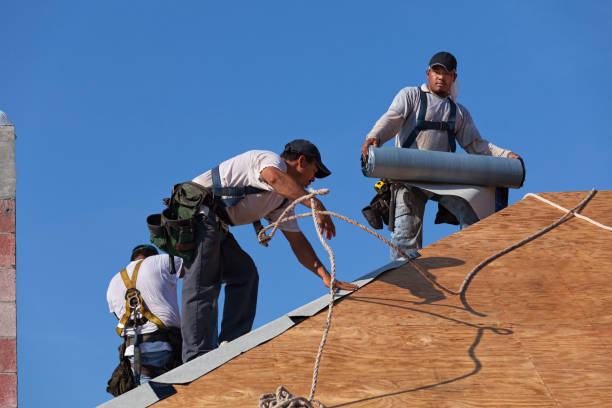 Best Metal Roofing Contractor  in Sandersville, GA